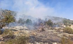 Mersin'de bahçelerin arasında çıkan yangın kontrol altına alındı