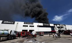 Mersin'de kimya fabrikasında yangın çıktı