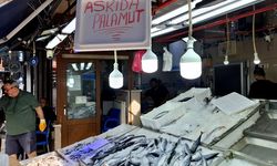 Sinop'ta 'askıda palamut' uygulaması başlatıldı