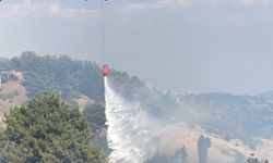 Kahramanmaraş’ta orman yangını