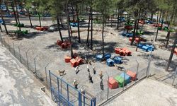 Sahipsiz Hayvanları Koruma Birliği’nden 5 Binin Üzerinde Can Dostuna Güvenli Yaşam Alanı