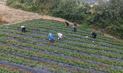 Kadınların Emeği “Kahraman Kadın” Platformu ile Daha Geniş Kitlelere Ulaşıyor