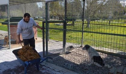 Konyaaltı Belediyesi çöpe gidecek yiyecekleri mamaya dönüştürüyor