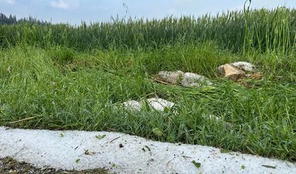 Osmaniye'de dolu ekili tarım alanlarına zarar verdi