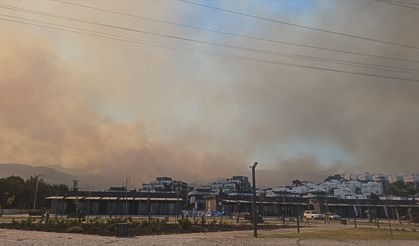 GÜNCELLEME - İzmir'de ziraat alanından ormana sıçrayan yangına müdahale ediliyor