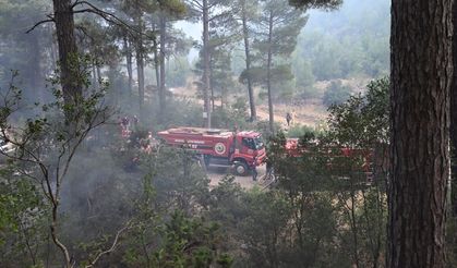 Antalya'da ormanlık alanda çıkan yangına müdahale ediliyor