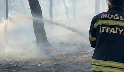 Ortaca'da ormanlık alanda çıkan yangına müdahale ediliyor