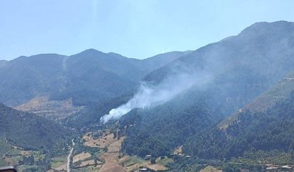 Kahramanmaraş’ta peş peşe orman yangını korkuttu