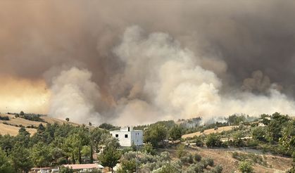 GÜNCELLEME 2 - Adana'nın Kozan ilçesinde iki noktada çıkan orman yangınlarından biri kontrol altında