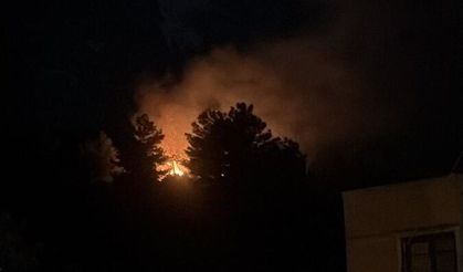 Hatay'da çıkan orman yangını söndürüldü