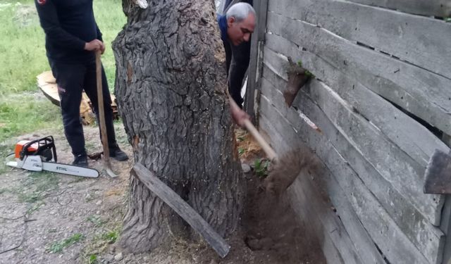 Malatya'da ağaç kovuğuna sıkışan yavru yediyi itfaiye kurtardı
