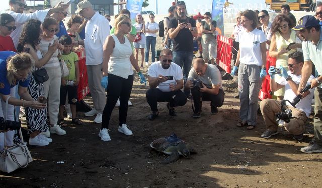 Mersin'de uydu takip cihazı takılan 2 yeşil deniz kaplumbağası denize salındı