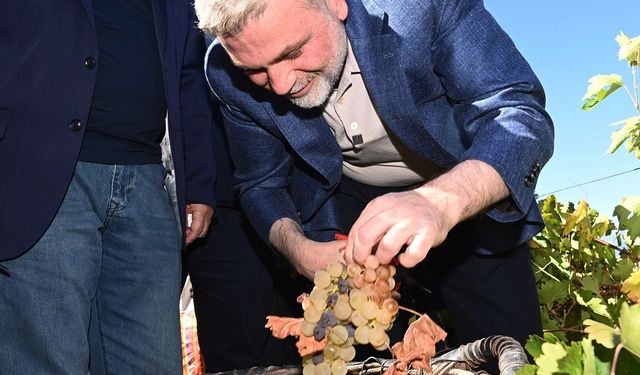 Kahramanmaraş’ta Bağbozumu Günleri etkinliği düzenlendi