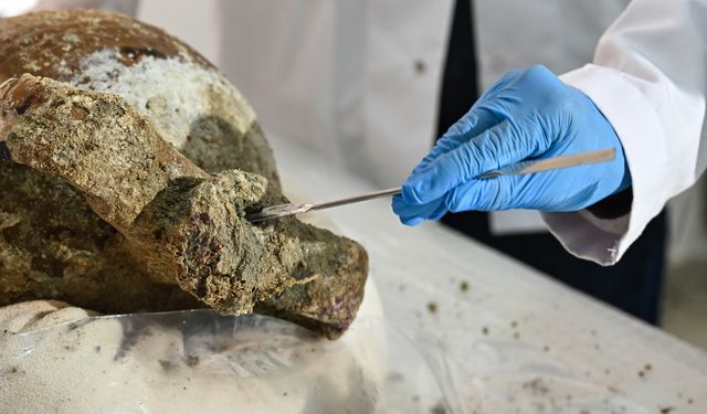 Gemi batığında 1100 yıllık kapağı açılmamış amfora bulundu
