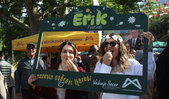 Gülnar'da 15. Erik ve Kültür Festivali yapıldı
