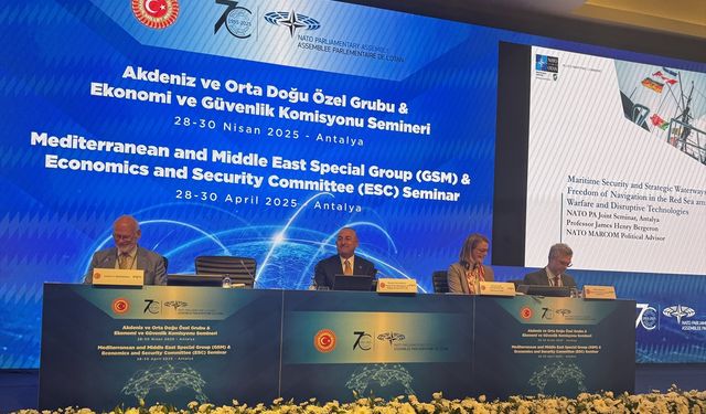 NATO Parlamenter Asamblesi'nin Antalya'daki seminerinde "terörizm" değerlendirildi