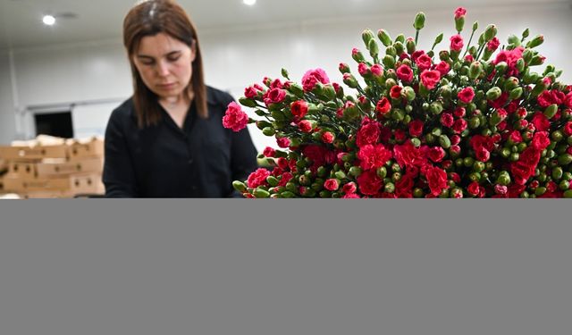 Anneler Günü için 30 ülkeye çiçek ihraç edildi
