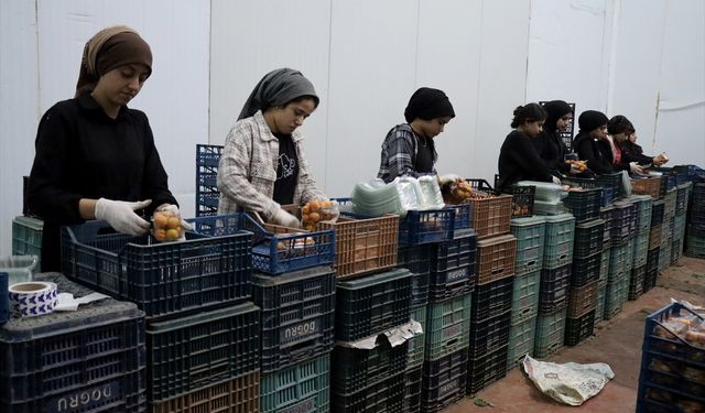 TKDK'den Hatay'daki depremzede girişimcilere 200 milyon liralık ilave destek