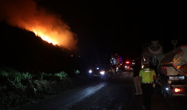 Hatay Yayladağı'nda orman yangını çıktı