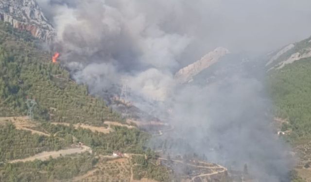 Mersin Anamur'da orman yangını çıktı