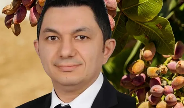 UKAB MYK Üyesi Büyükmurat: İthal fıstık çiftçiyi bitirir!