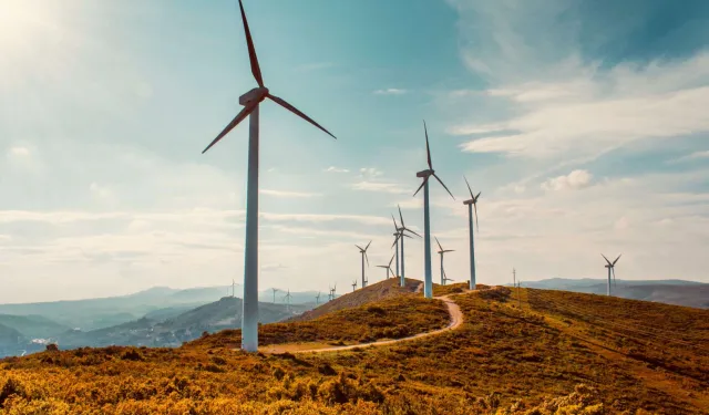 Rüzgar enerjisi başvurularına ayar