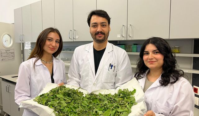 Bilgi Üniversitesi öğrencilerinden antibiyotik direncine karşı doğal çözüm