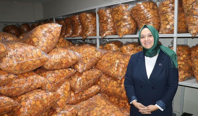 Devlet desteğiyle Trabzon hurması cipsi üreten kadın girişimci, istihdam ve kapasitesini artırdı