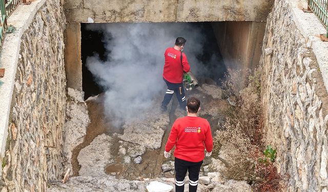 Vektör Zararlılarına Karşı Kışlak İlaçlama Başladı