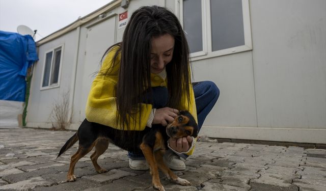 Malatya'da yaşayan genç kızın köpeği 'Boncuk' ile bağı yürekleri ısıtıyor
