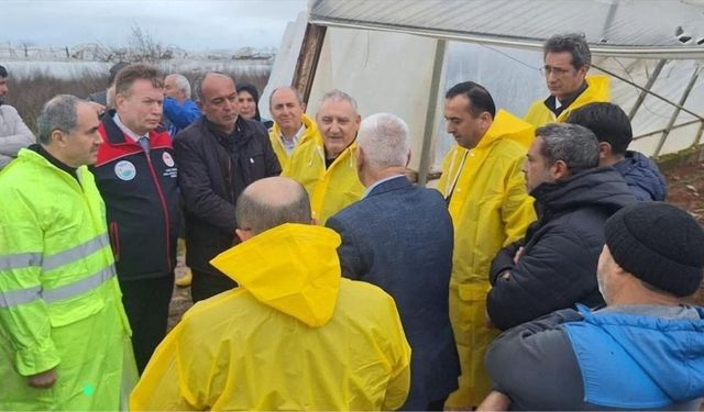 TARSİM'den Antalya'da su baskınından etkilenen seralara ziyaret