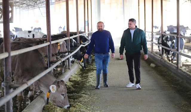 6 ŞUBAT DEPREMLERİNİN ÜÇÜNCÜ YILI - Hatay'da depremde hayvanlarını kaybeden besiciler, devlet desteğiyle yeniden ayağa kalktı