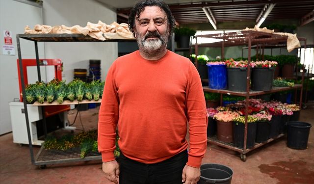 Çiçek sektöründe Sevgililer Günü yoğunluğu başladı