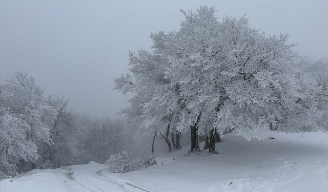 Ganos Dağı eteklerinde karla kaplanan ormanlar güzel görüntü oluşturdu