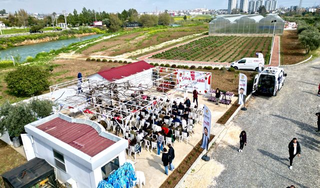 Tarsus ilçesinde topraksız tarım yöntemiyle yetiştirilen çilekler hasat edildi