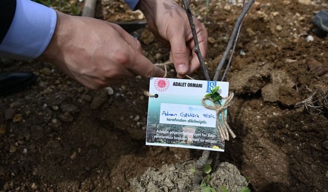Kadirli ilçesinde 'Adalet Ormanı' oluşturuldu