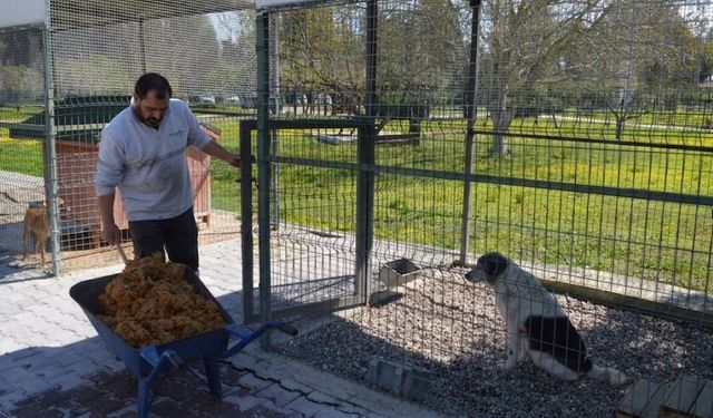 Konyaaltı Belediyesi çöpe gidecek yiyecekleri mamaya dönüştürüyor