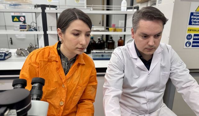 Mikroplastikler su ürünleri yetiştiriciliğinde üretimi düşürebilir