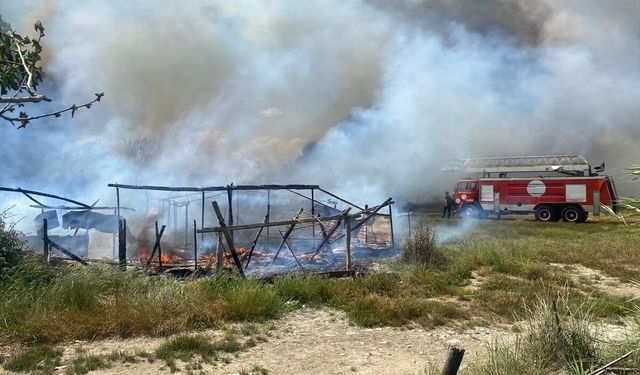 Antalya'da çıkan yangında baraka ve ağıl kullanılamaz hale geldi