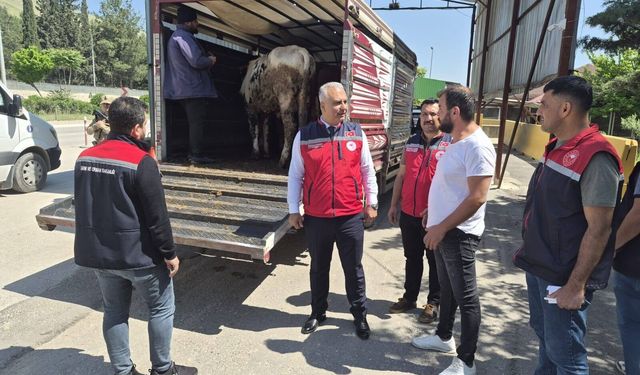 Hatay'da kurbanlık hayvan taşıyan araçlar denetlendi