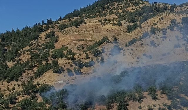 Kahramanmaraş'ta çıkan orman yangını kontrol altına alındı