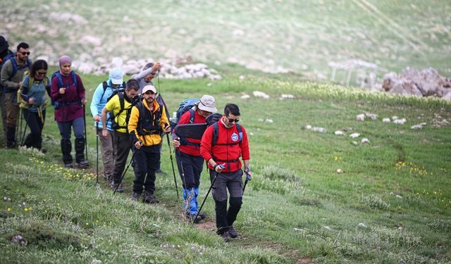 Sağlık memuru kemancının resital sahnesi tırmandığı zirveler oluyor