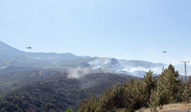 Alanya'da ormanlık alanda çıkan yangına müdahale sürüyor