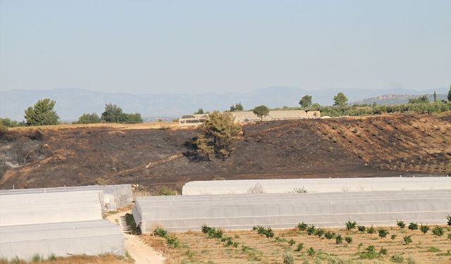 Antalya Serik'te çıkan orman yangını söndürüldü