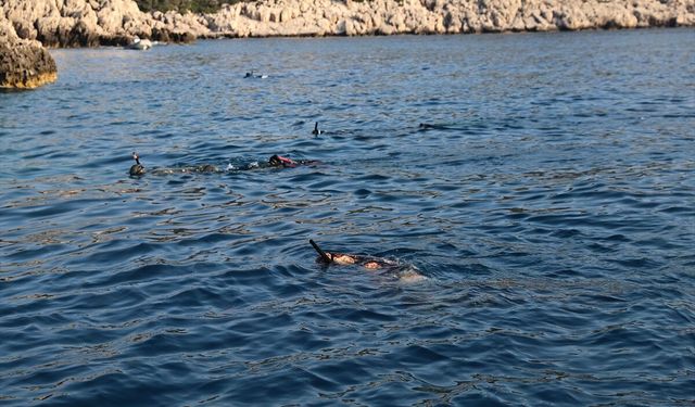 Antalya'da 'Aslan Balığı Avlama Yarışması' düzenlendi