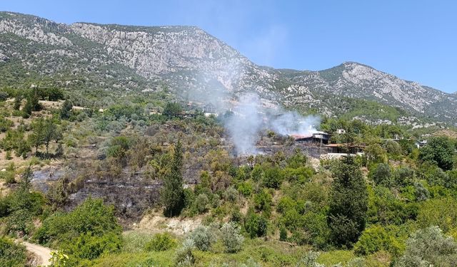 Antalya'da evde çıkan ve ormana sıçrayan yangın kontrol altına alındı