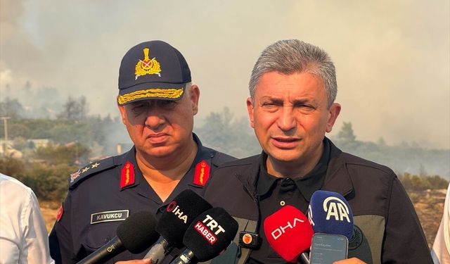 Antalya'da iki günde çıkan 12 yangından 10'u söndürüldü