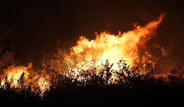 Antalya'da otluk alanda çıkan yangın söndürüldü