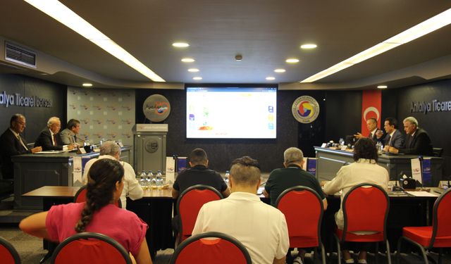 Antalya'da yeni kurulan şirket sayısı yüzde 6,5 arttı