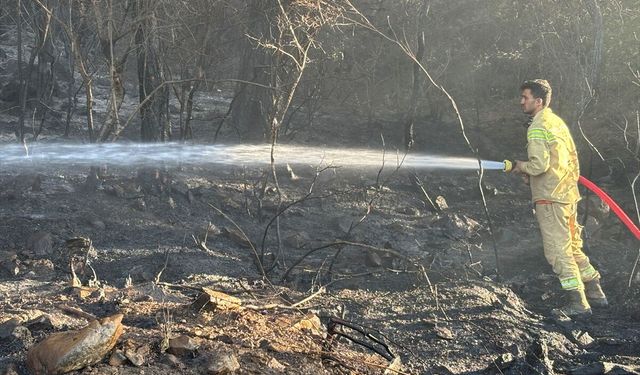 Antalya'nın Kumluca ilçesinde çıkan orman yangını kontrol altına alındı